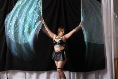 Cat_260304-1474