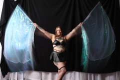 Cat_260304-1488