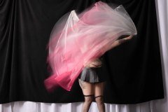 Cat_260304-1499