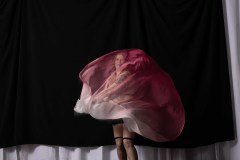 Cat_260304-1527
