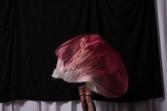 Cat_260304-1528