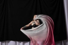 Cat_260304-1553