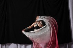 Cat_260304-1554