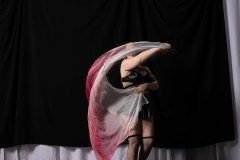 Cat_260304-1557