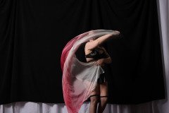 Cat_260304-1558