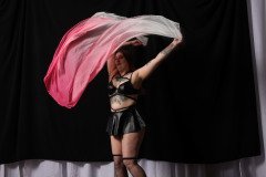 Cat_260304-1562