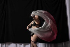Cat_260304-1569