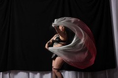 Cat_260304-1570