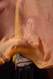 Cat_260304-1627