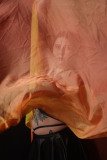 Cat_260304-1628