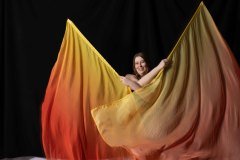 Cat_260304-1657