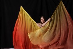 Cat_260304-1658