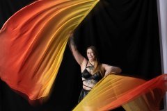 Cat_260304-1661
