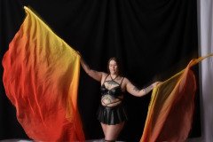 Cat_260304-1664