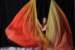 Cat_260304-1670