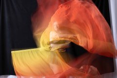 Cat_260304-1675
