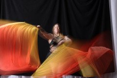 Cat_260304-1678