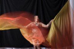 Cat_260304-1698