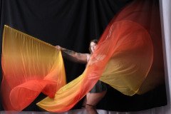 Cat_260304-1722
