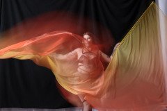 Cat_260304-1724