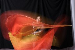 Cat_260304-1726