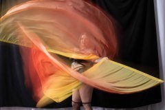 Cat_260304-1729