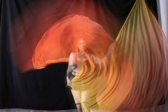 Cat_260304-1733