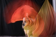 Cat_260304-1734