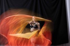 Cat_260304-1735
