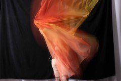 Cat_260304-1741