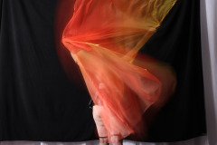 Cat_260304-1742