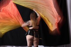 Cat_260304-1754