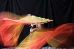 Cat_260304-1774