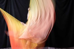 Cat_260304-1783