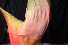 Cat_260304-1784