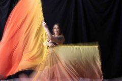 Cat_260304-1785
