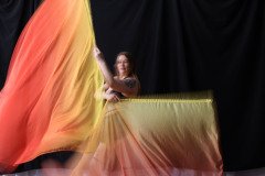 Cat_260304-1786