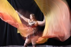 Cat_260304-1791