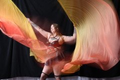 Cat_260304-1792