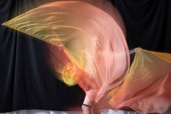 Cat_260304-1801