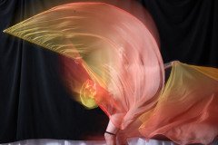 Cat_260304-1802