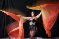 Cat_260304-1804