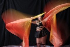 Cat_260304-1806