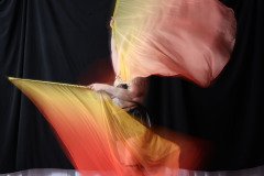 Cat_260304-1808
