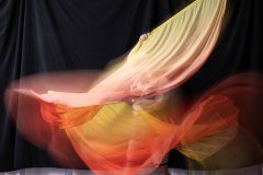 Cat_260304-1817