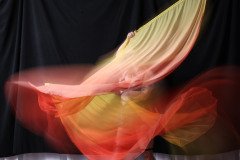 Cat_260304-1818
