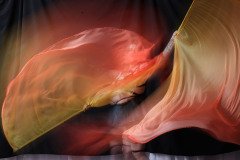 Cat_260304-1822