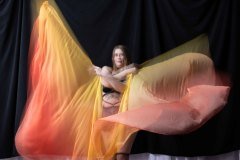 Cat_260304-1827