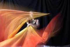 Cat_260304-1831