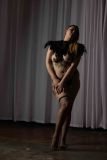 Cat_260304-1865